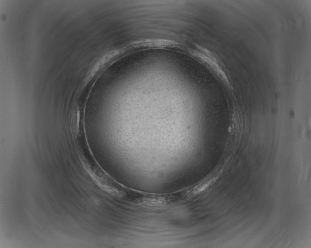 X0000086100110200704091403