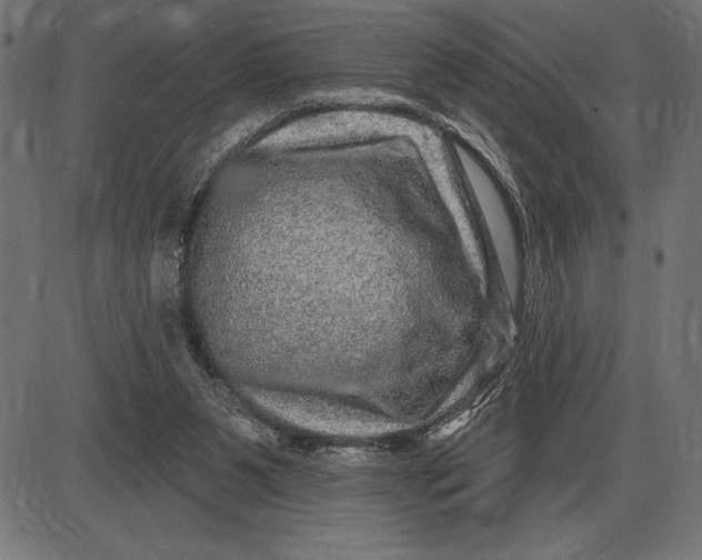 X0000086100111200704091403