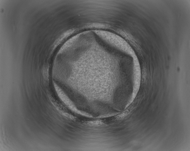X0000086100112200704091403