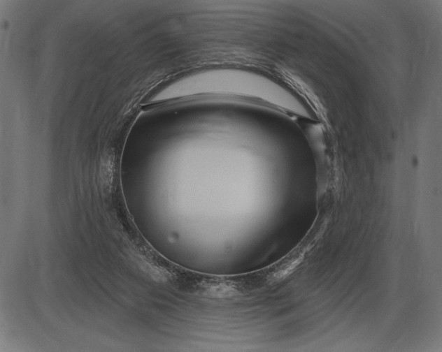 X0000086100113200704091403