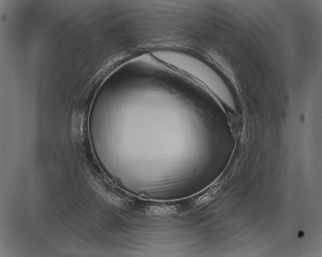 X0000086100115200704091402