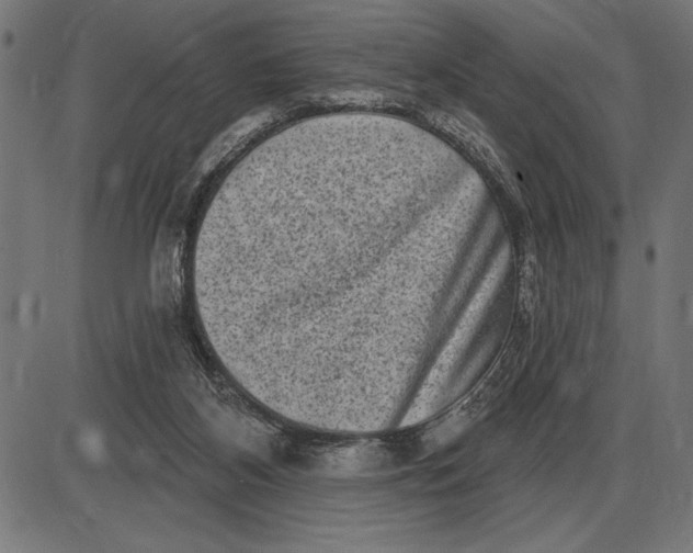 X0000086100116200704091402