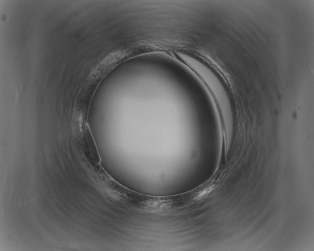 X0000086100117200704091402