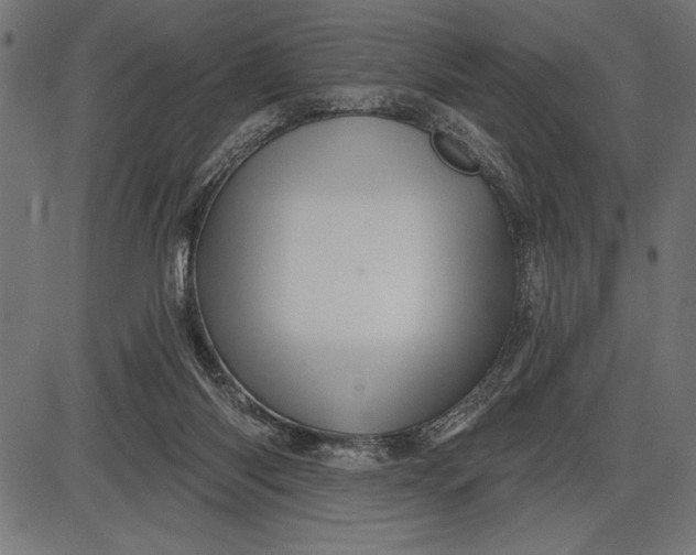 X0000086100118200704091402