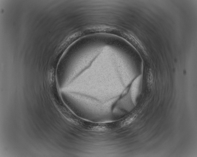 X0000086100119200704091402