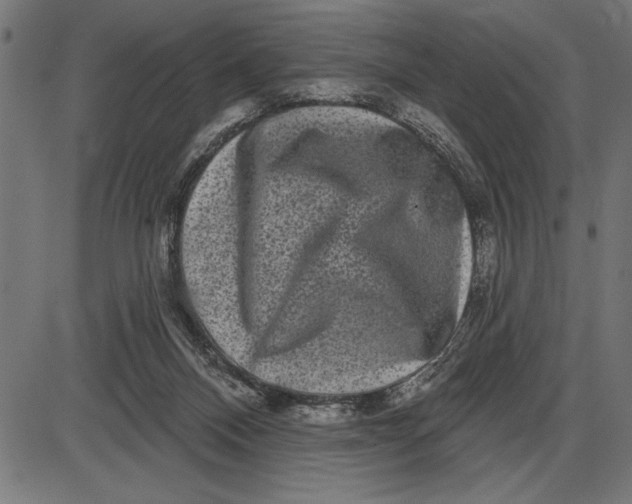 X0000086100120200704091402