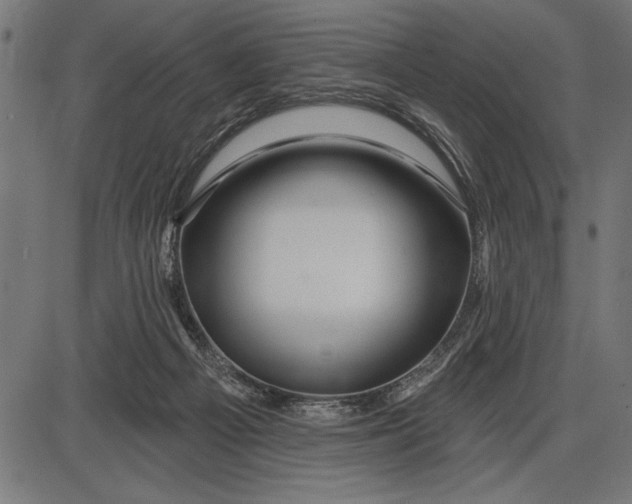 X0000086100121200704091402