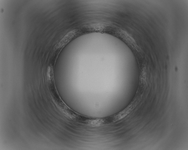 X0000086100122200704091402