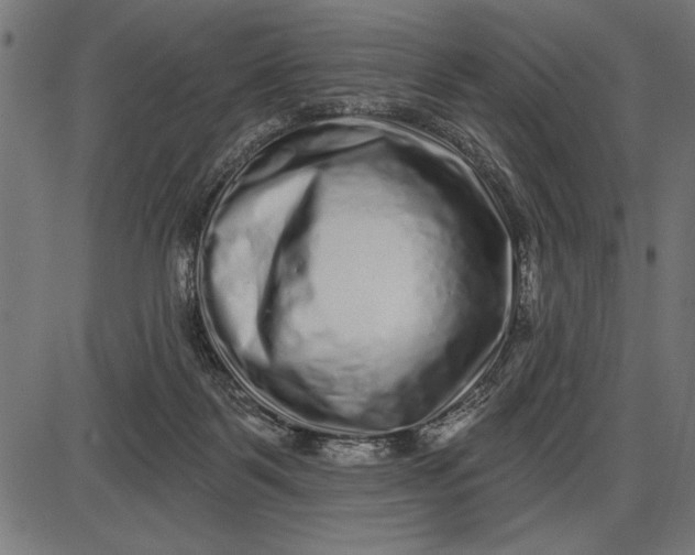 X0000086100123200704091402