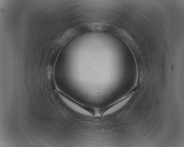 X0000086100125200704091402