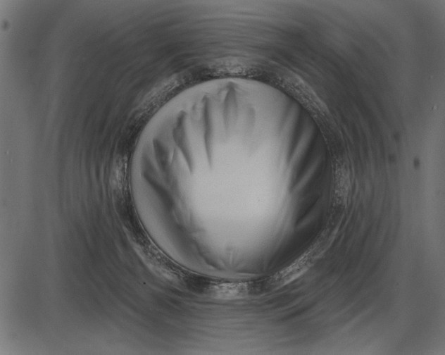 X0000086100126200704091402