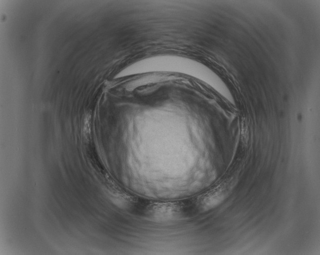 X0000086100127200704091402