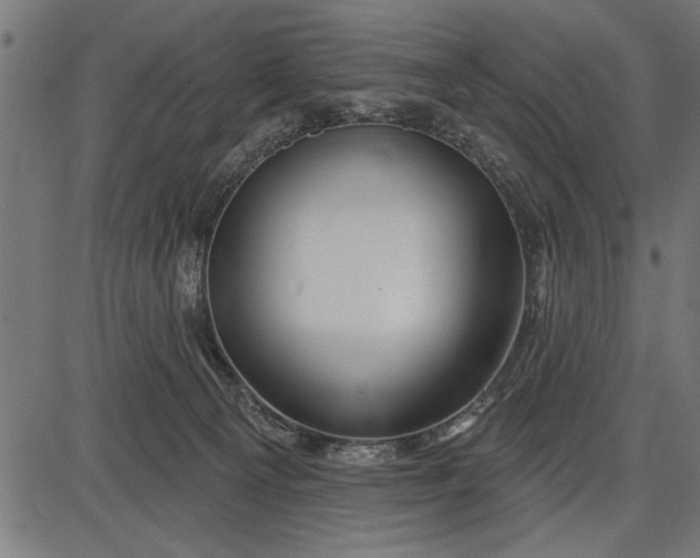 X0000086100129200704091402