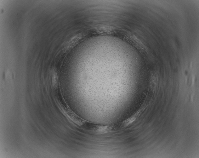 X0000086100130200704091402