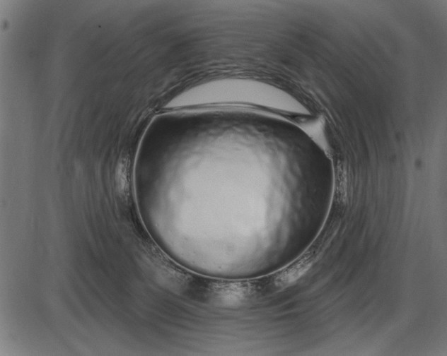 X0000086100131200704091402