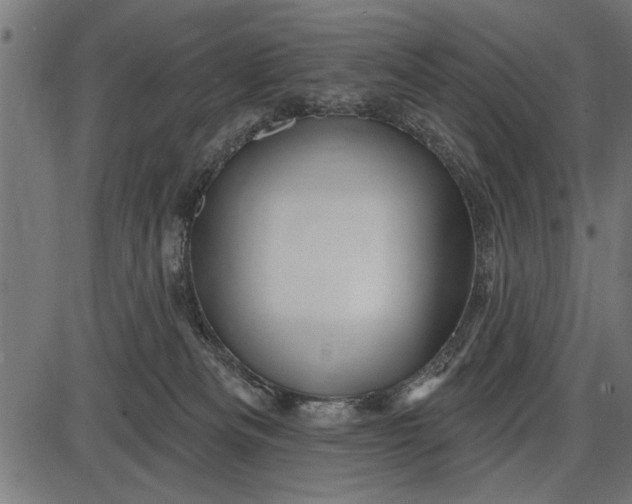 X0000086100133200704091402