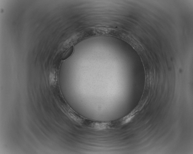 X0000086100134200704091402