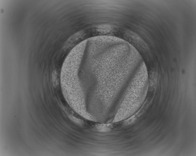 X0000086100136200704091402