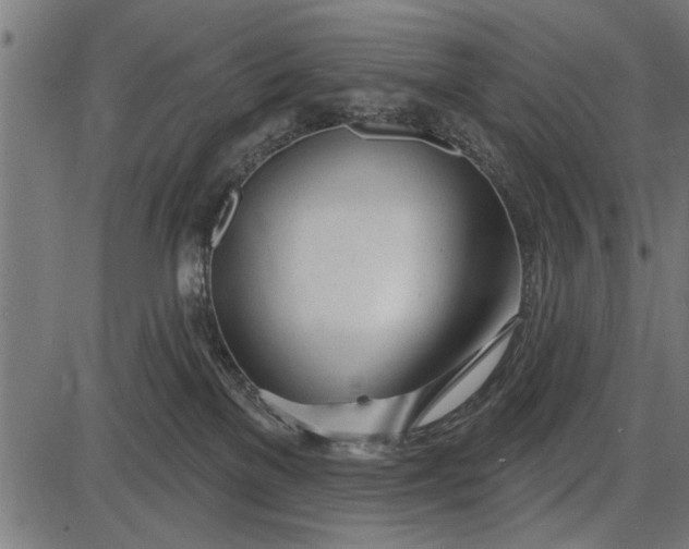 X0000086100137200704091402
