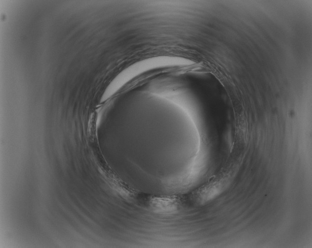 X0000086100139200704091402