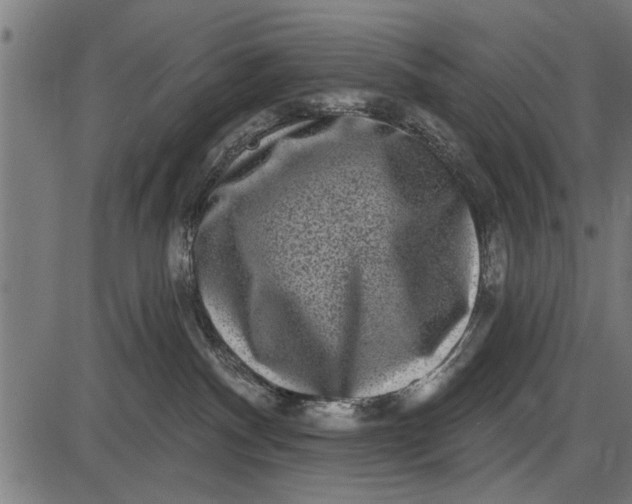 X0000086100140200704091402
