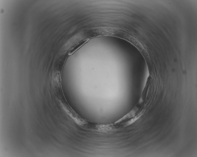 X0000086100141200704091402