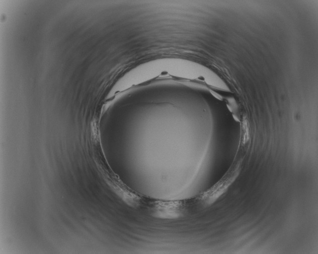 X0000086100143200704091402