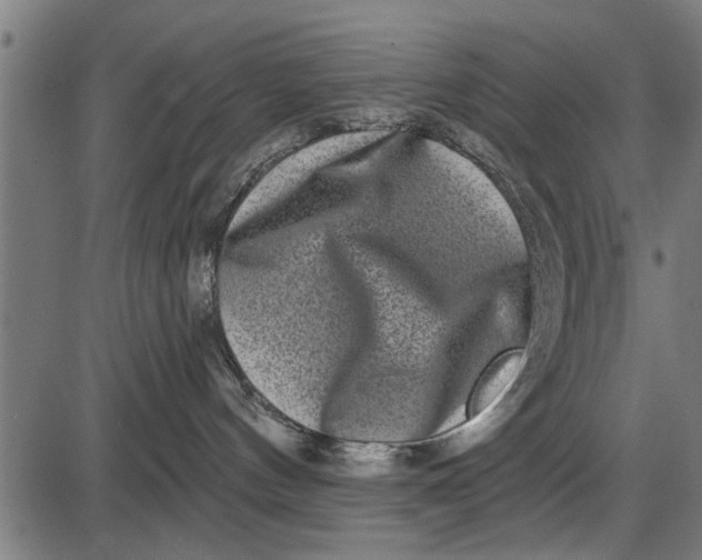 X0000086100144200704091402