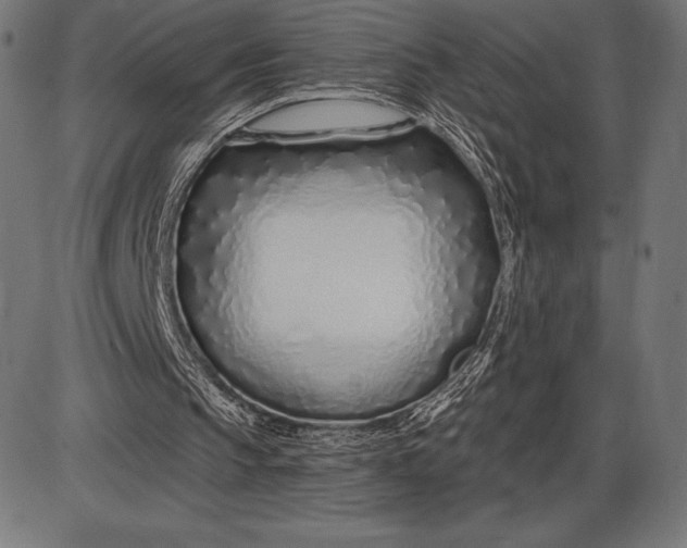 X0000086100145200704091401