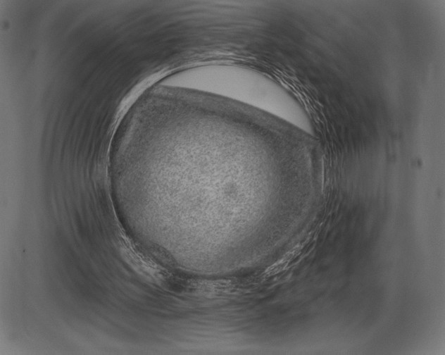 X0000086100147200704091401