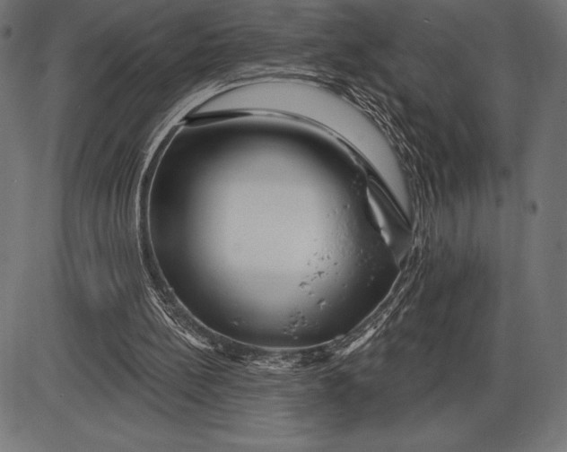 X0000086100148200704091401