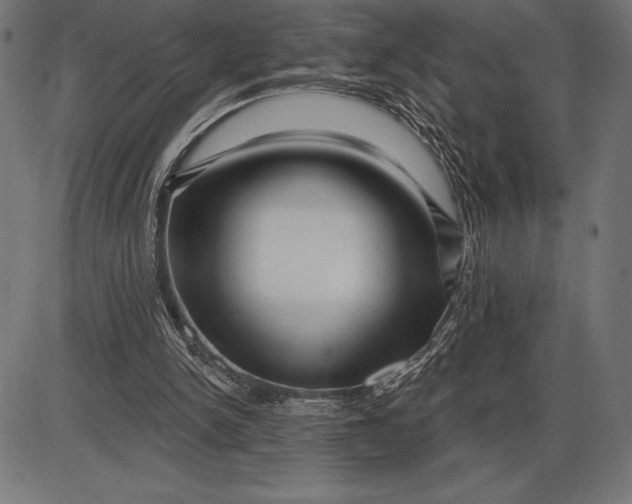 X0000086100150200704091401