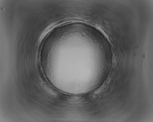X0000086100151200704091401