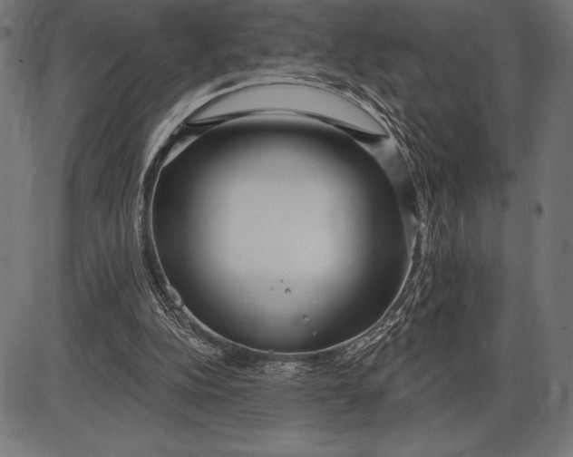 X0000086100152200704091401