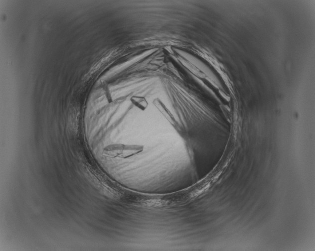 X0000086100153200704091401