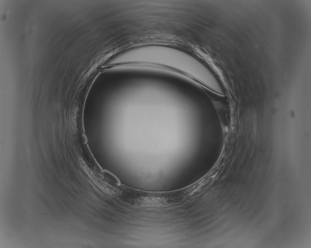 X0000086100154200704091401