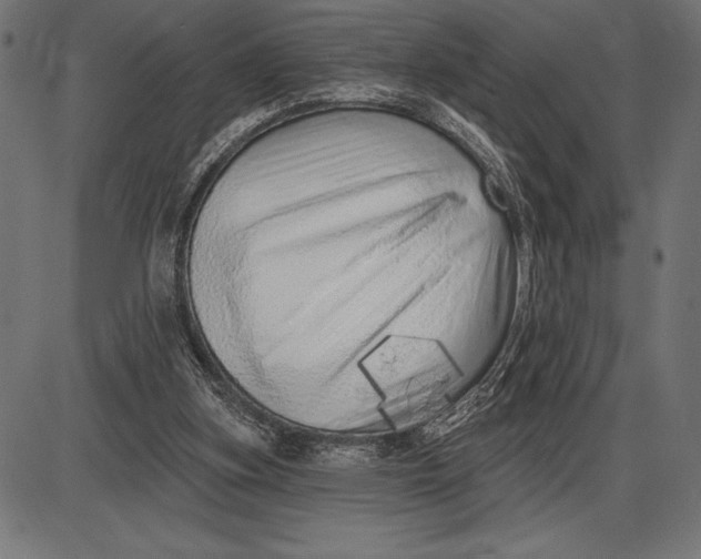 X0000086100155200704091401
