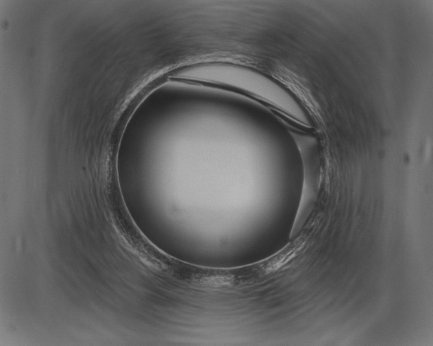 X0000086100156200704091401