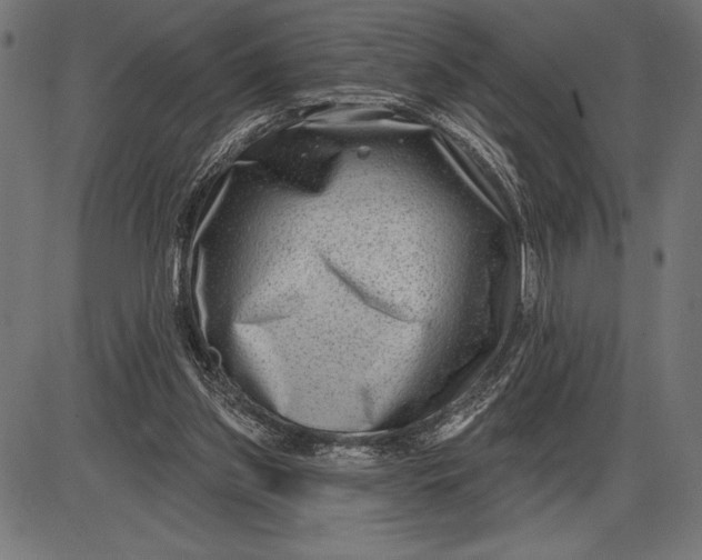 X0000086100157200704091401