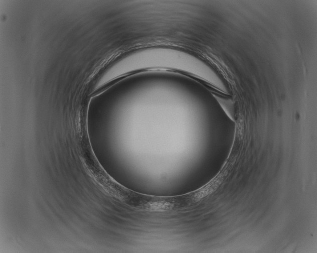 X0000086100158200704091401