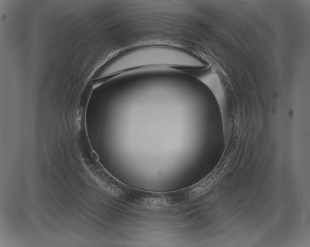 X0000086100160200704091401