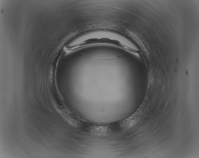 X0000086100163200704091401