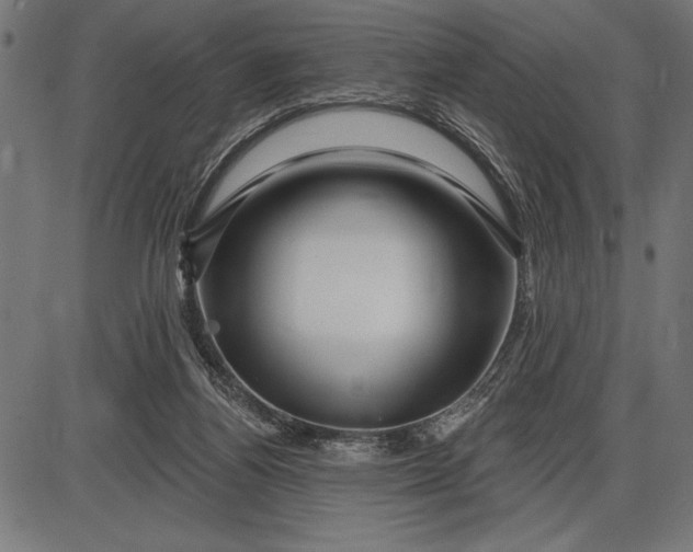 X0000086100164200704091401