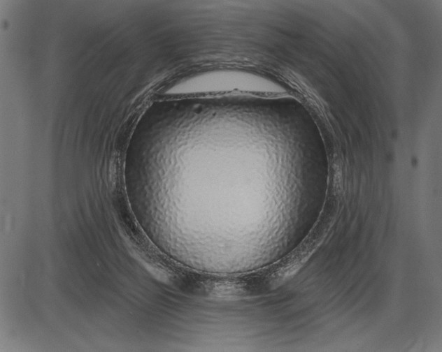 X0000086100165200704091401