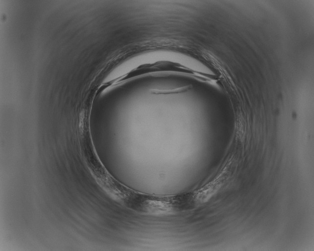 X0000086100167200704091402