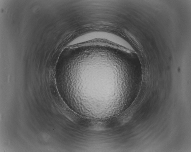X0000086100169200704091402
