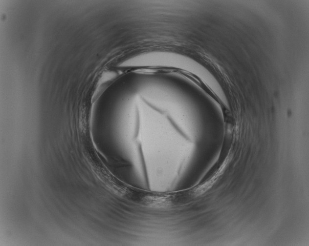 X0000086100170200704091402