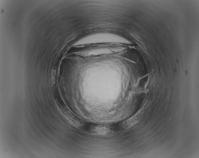 X0000086100171200704091402