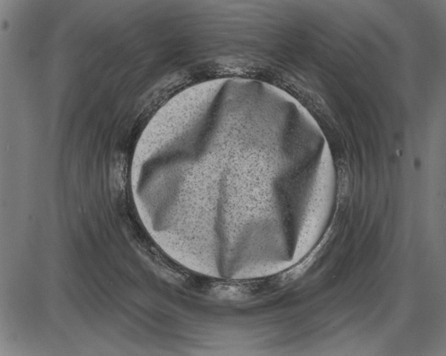 X0000086100174200704091402