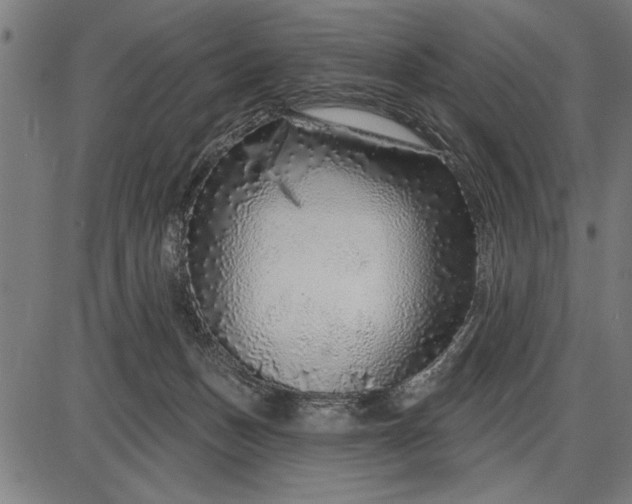 X0000086100175200704091402